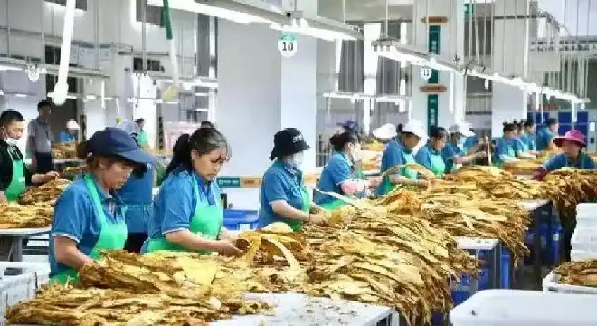 执教纽卡首胜,雅伊斯勒:巴恩斯表现出色,我向他表示了感谢